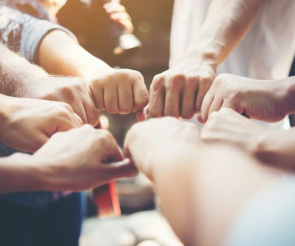 Los-Valores-SearchDrive-1080x675